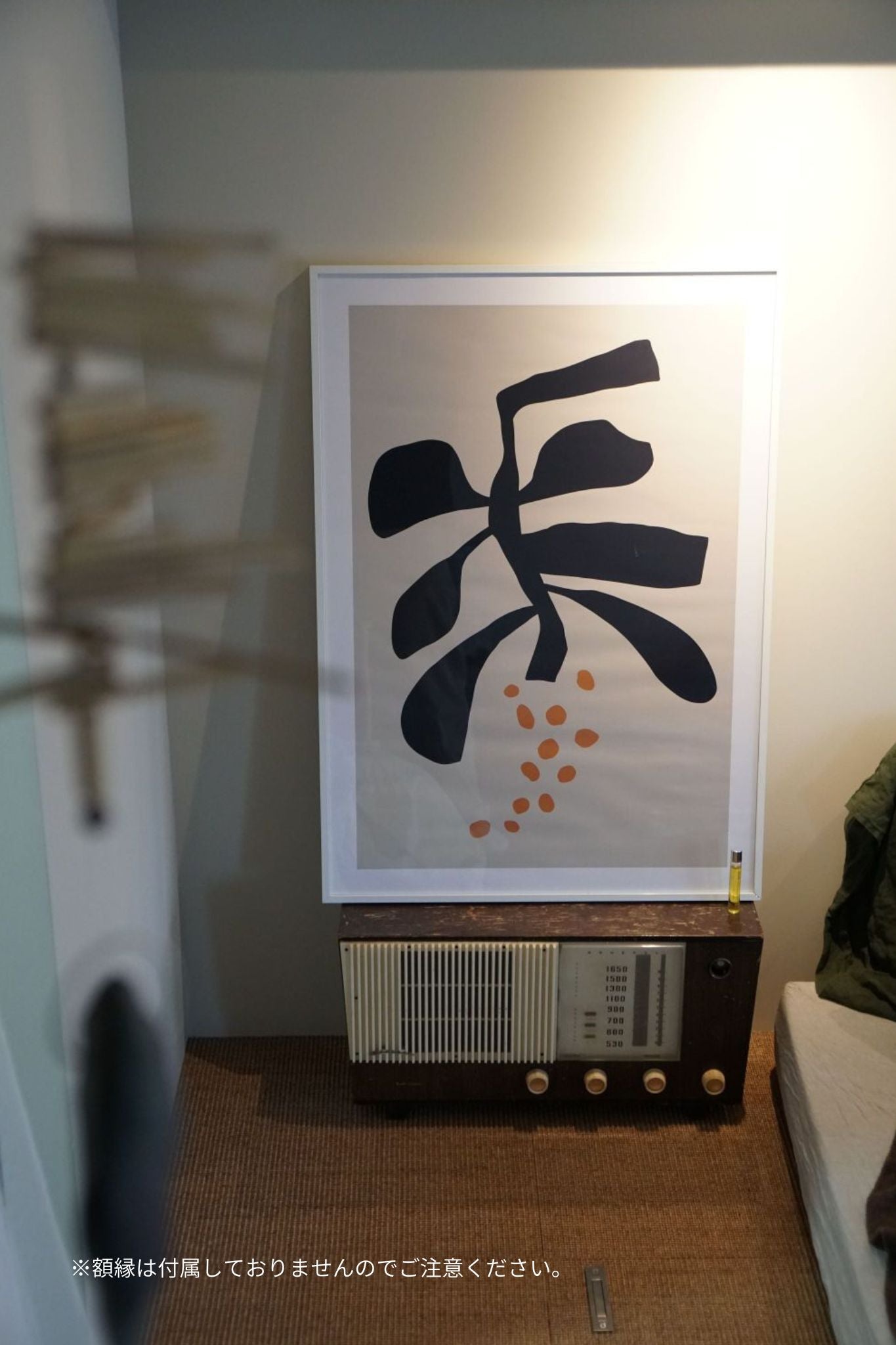 POSTER : Acacia(Mimosa)
