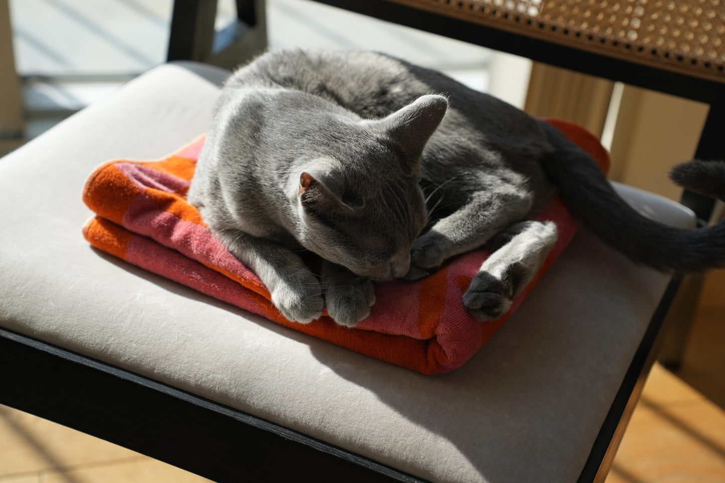 BATH TOWEL : Fruit of the room