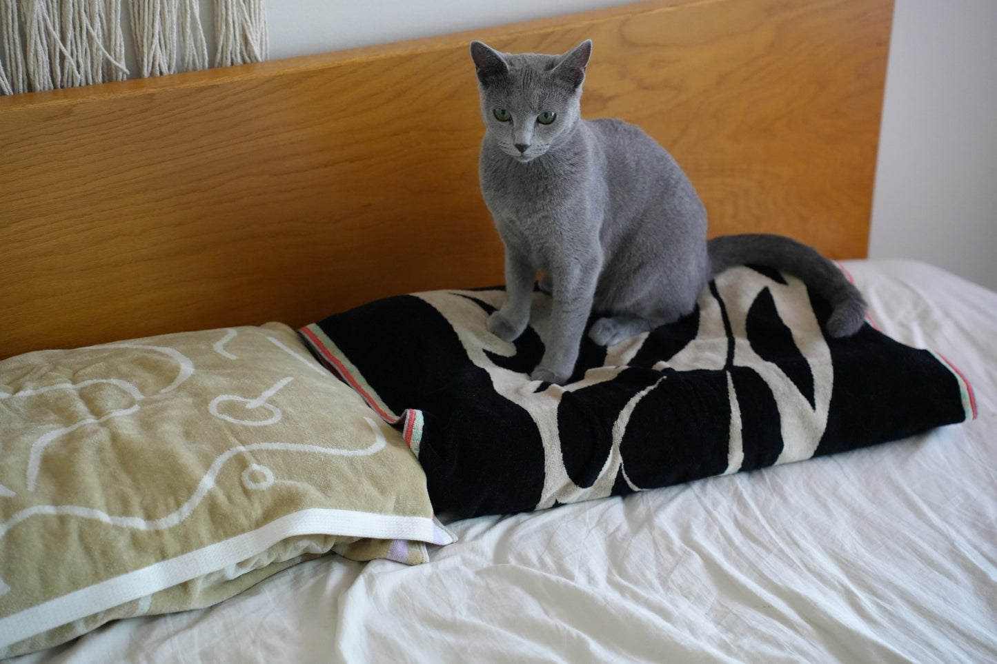 BATH TOWEL : Waltz of the flowers