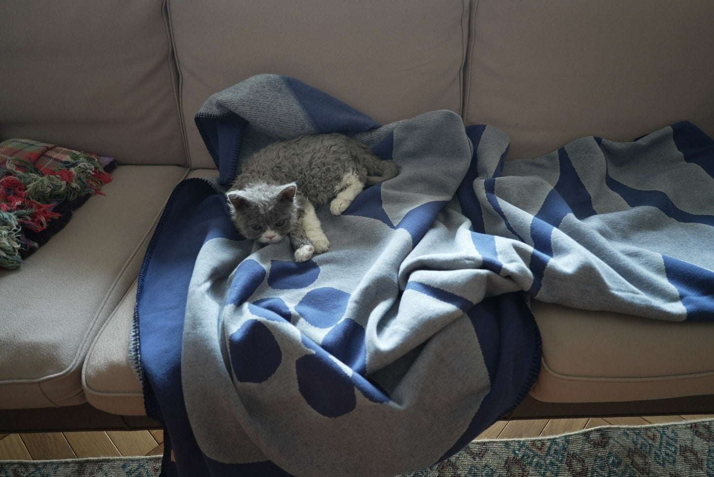 ALL SEASON BLANKET : Antra