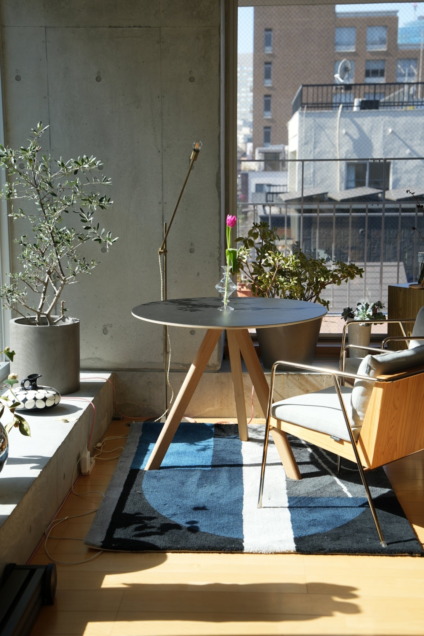 RUG【L】:Lake