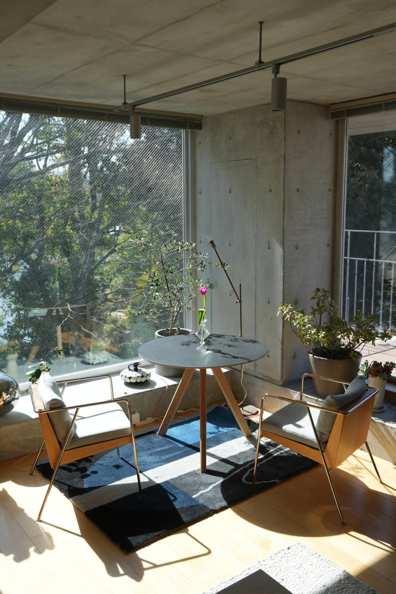 RUG【L】:Lake