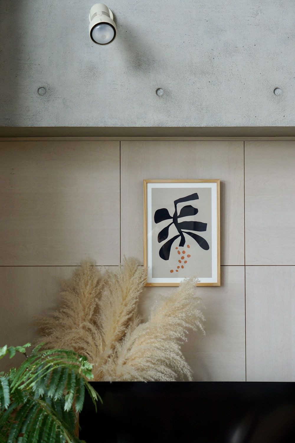 POSTER : Acacia(Mimosa)