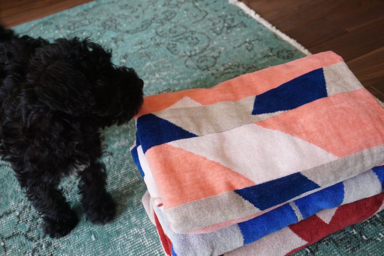 BATH TOWEL : Melody Line