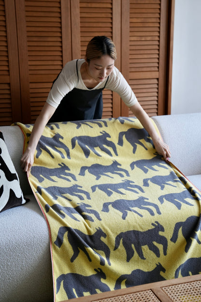 〈8月下旬ごろ販売開始〉TOWEL BLANKET：DOGORHORSE