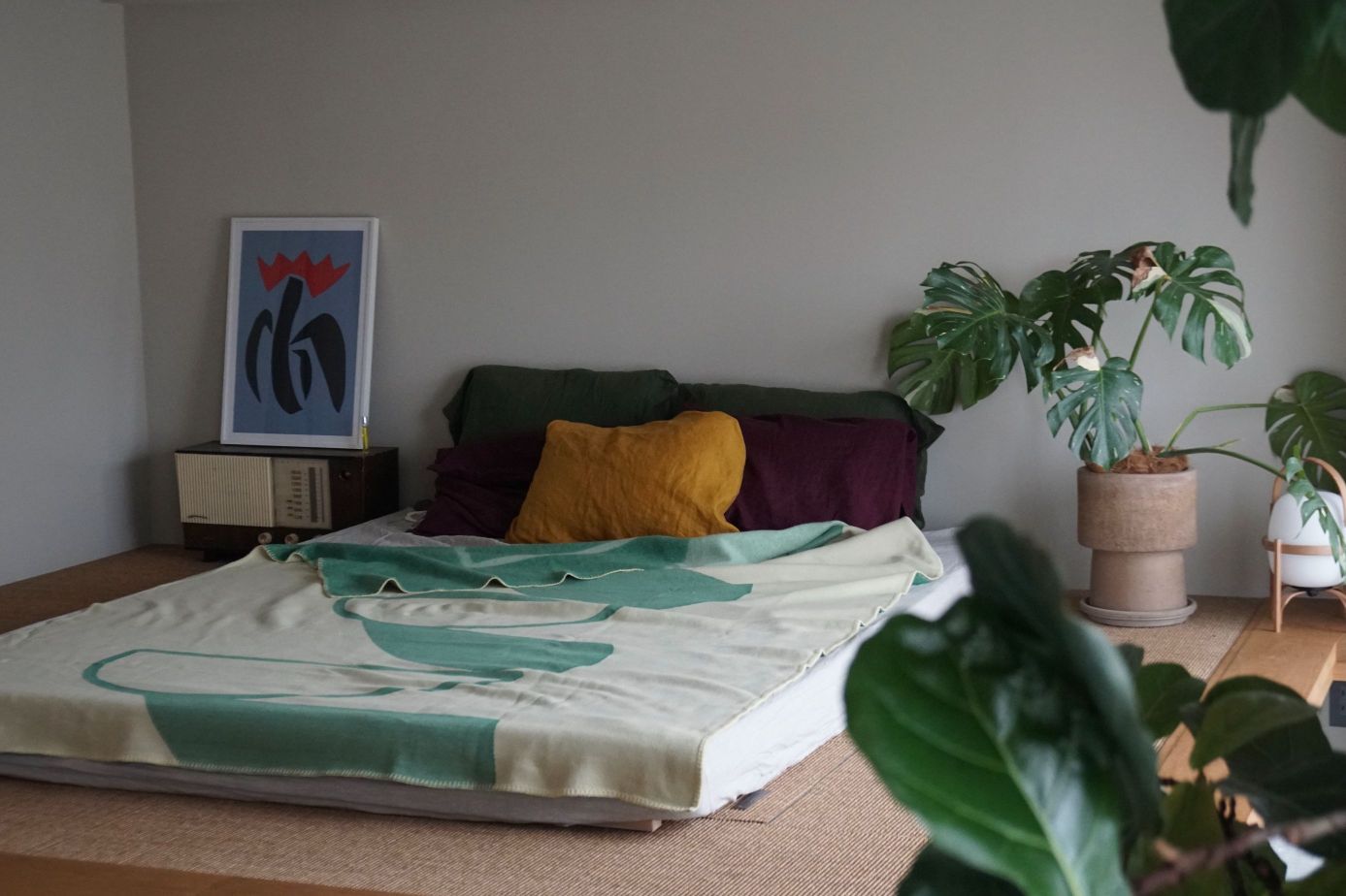 ALL SEASON BLANKET : Ochawan
