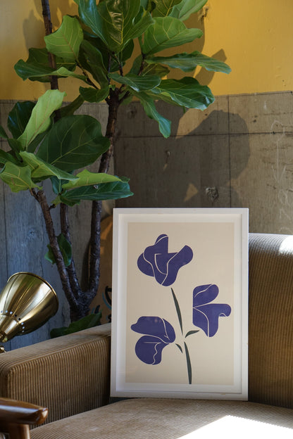 POSTER :Sweet pea