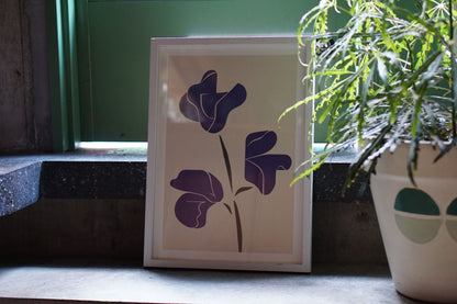 POSTER :Sweet pea